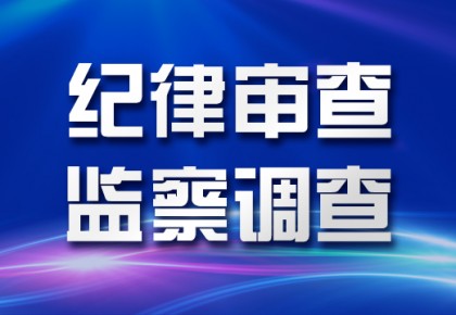 審查調查 審查調查